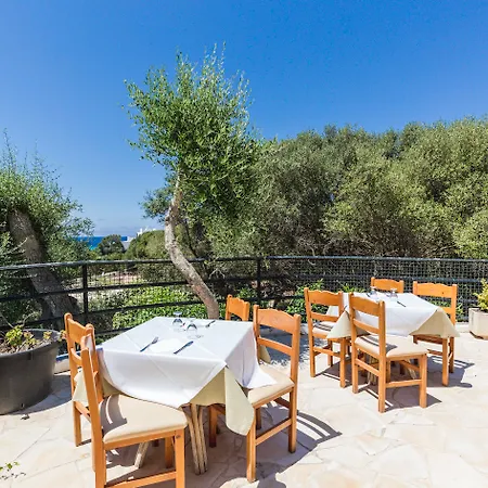 Vibra Blanc Palace 4* ثيوداديلا